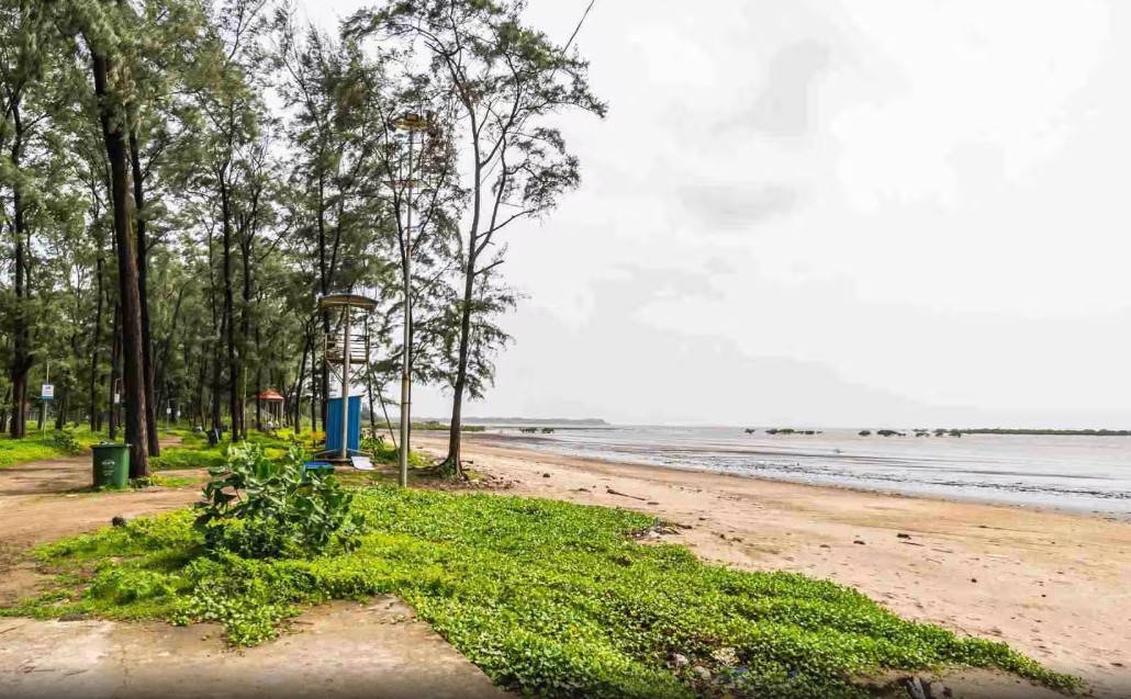 Dahanu Beach